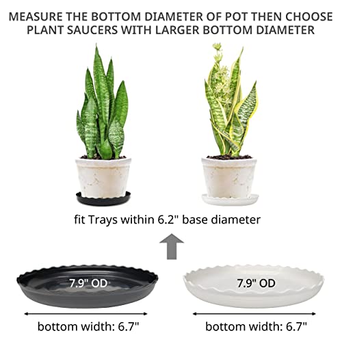 Plant Saucer, 7 Pack 8 10 12 14 15 Inch Durable Plastic Plant Trays for Pots, White & Black Round Plant Pot Saucers, Drip Tray for Indoor and Outdoor Garden (8", for 5 6 Inch Pot) - color: Black & White (8" x 7)