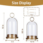 Large & Small Cloche Glass Dome Candle Holders - Glass Hurricane Candle Holder,Gold Candlestick & Lanterns Set of 2 Can Be Placed Desktop Hung,for Pillar Candles,Plants Decorative