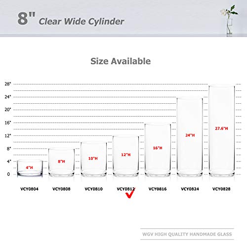 WGV Cylinder Vase, Width 8", Height 12", Clear Wide Large Diameter Flower Glassware, Floral Container, Planter Terrarium for Wedding Party Event, Home Accent Decor, 1 Piece - size: 8"x12"H