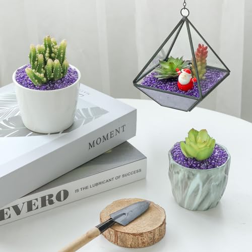 T4U Fish Tank Gravel 2 LB, Tumbled Small Rocks for Aquarium, Glass Beads for Vases, Succulent Rocks for Plants, Aquarium Gravel Decorative Pebbles for Terrarium Crafts Vase Filler, Purple - color: Purple, size: 2 LB