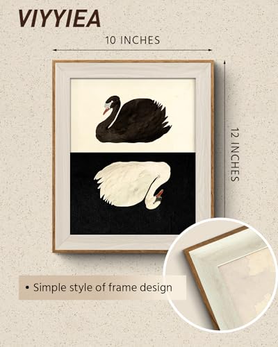 VIYYIEA Framed Wall Art for Living Room, Swan Canvas Prints, Vintage Home Decor, Animals Painting Picture, Bathroom Wall Decor Gifts for Friends or Family - 12L x 10W - color: Animals-【Black and White】, size: 12"L x 10"W