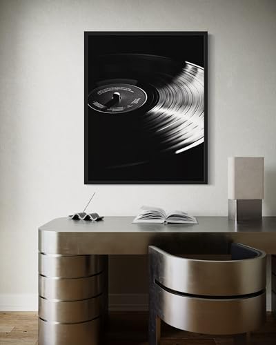 Vinyl Record Art Music Poster - Musical Instrumental Wall Art Print - Black and White - Photography Musical Art - Bedroom or Office Living Room Decor 137 (Vinyl Record, 16 x 20 inches, Unframed) - color: Vinyl Record, size: 20"L x 16"W