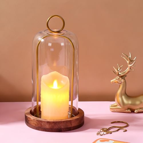 12" High Versatile Vintage Brass Metal Candle Holder with Handmade Sturdy Glass Dome and Natural Wooden Base for Pillar Candle & Plants, Industrial, Farmhouse, Shabby Chic, Display Cloche Bell Jars - color: Brass, size: 6"x12"