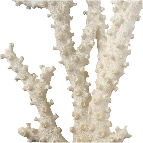 Deco 79 Polystone Coral Decorative Sculpture Home Decor Statue with Clear Acrylic Base, Accent Figurine 9" x 4" x 14", Cream - size: 9" x 4" x 14"