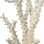 Deco 79 Polystone Coral Decorative Sculpture Home Decor Statue with Clear Acrylic Base, Accent Figurine 9" x 4" x 14", Cream - size: 9" x 4" x 14"