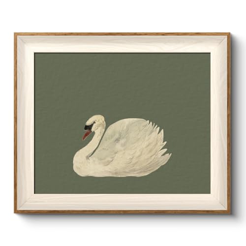VIYYIEA Framed Wall Art for Living Room, Swan Canvas Prints, Green Home Decor, Animals Painting Picture, Bathroom Wall Decor Gifts for Friends or Family -【Swan Green】-(12L x 10W) - color: Animals-【Swan Green】, size: 12"L x 10"W
