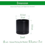 D'vine Dev Set of 2 Plants Pots, 6.5 Inch Ceramic Planter Pot for Plants with Drainage Hole and Saucer, Black, 94-V-C-2 - color: Black, size: 6 Inch