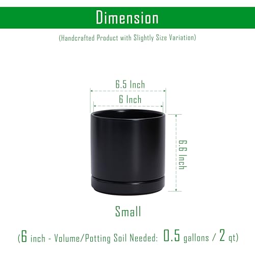 D'vine Dev Set of 2 Plants Pots, 6.5 Inch Ceramic Planter Pot for Plants with Drainage Hole and Saucer, Black, 94-V-C-2 - color: Black, size: 6 Inch