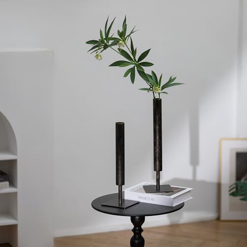 Sziqiqi Black Single Stem Vase Set - 15.5/13.8in Metal Large Flower Vases 2 Pcs Modern Vase for Home Decor Living Room Table Decorative Slim Vases for Pampas Grass Feathers Twigs Branches - style: Black Single Stem Vases