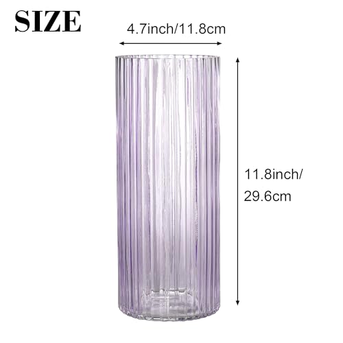 Purple Glass Vase for Flowers, Ribbed Glass Vase for Tulips, Modern Purple Vases, Tall Cylinder Glass Vases for Living Room, Bedroom, Dining Table, Office, Wedding, Bookshelf, 12 Inches - color: Purple, size: 12''