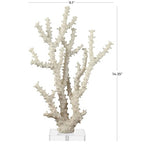 Deco 79 Polystone Coral Decorative Sculpture Home Decor Statue with Clear Acrylic Base, Accent Figurine 9" x 4" x 14", Cream - size: 9" x 4" x 14"