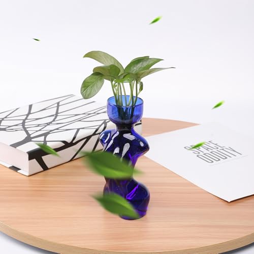 Propagation Vases for Plants Plant Propagation Jars Unique Body Avocado Vase Glass Planter Perfect for Seed Starting Water Rooting and Home Decor Gift for Father - color: Blue