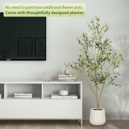 VIVATREES Olive Trees Artificial Indoor, 5FT Tall Faux Olive Tree with White Tall Planter, Artificial Plants with Natural Wood Trunk and Lifelike Fruits for Home Office Decor - color: White-5ft