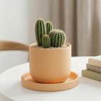4 Pack Ceramic Plant Saucer Tray 4.72 Inch Round Flower Pot Drip Trays for Indoor Outdoor Plants Succulents