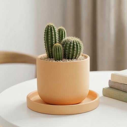 4 Pack Ceramic Plant Saucer Tray 4.72 Inch Round Flower Pot Drip Trays for Indoor Outdoor Plants Succulents