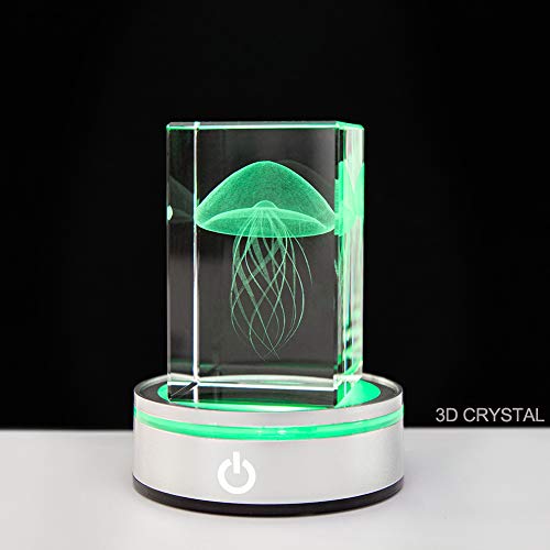 IFOLAINA LED Light Base Lighted Display Stand for Crystal 3D Photo Glass Art Tumbler RGB Multicolor Lighting Round Pedestal USB Battery Operated - Flat - size: Flat