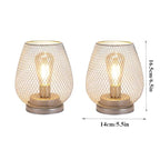 JHY DESIGN Set of 2 Metal Cage LED Lantern Battery Powered Cordless Accent Light with LED Great for Weddings Parties Patio Events for Indoors Outdoors(Silver) - style: Set of two Silver egg