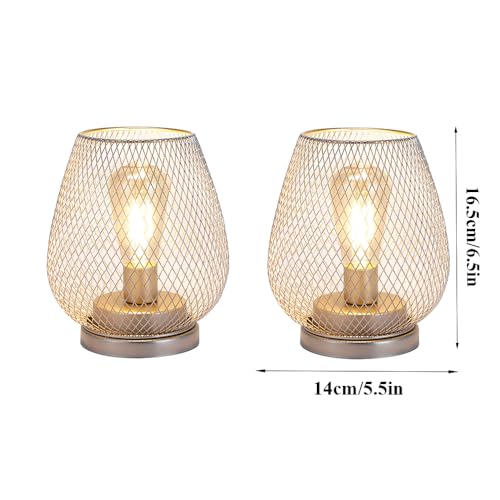 JHY DESIGN Set of 2 Metal Cage LED Lantern Battery Powered Cordless Accent Light with LED Great for Weddings Parties Patio Events for Indoors Outdoors(Silver) - style: Set of two Silver egg