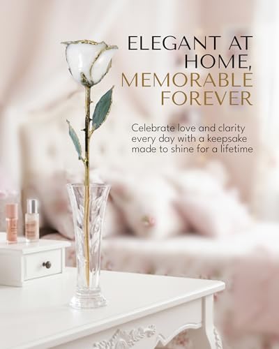Forever Rose Hand-Dipped in 24K Gold, White Pearl-Inspired June Birthstone, Real Rose in Luxury Gold Gift Box & Clear Glass Bud Vase – Perfect Ready to Gift for June Birthday or Any Occasion - color: June Pearl