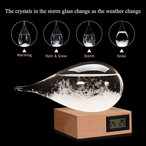 Storm Glass Weather Predictor,Christmas Unique Gifts, Christmas Snow Globe Barometer, Storm Glass Weather Station, Decorative Weather Predictor,Decorative Glass Bottles for Home and Office (XXL) - size: XXL