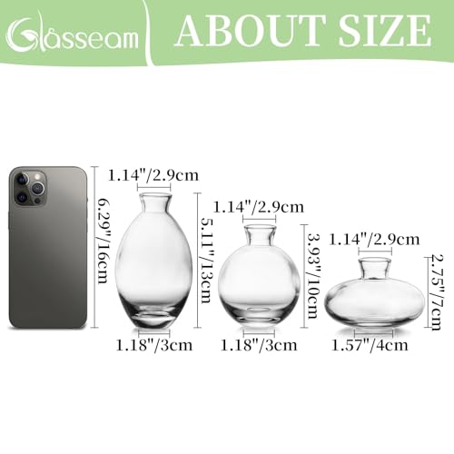 Glass Bud Vase for Centerpieces: 12Pcs Glasseam Clear Mini Small Vases for Flowers Bulk Flower Vase Set Aesthetic Cute Handmade Tiny Short Wedding Table Centerpiece Decor - color: Clear, size: 4 Sets