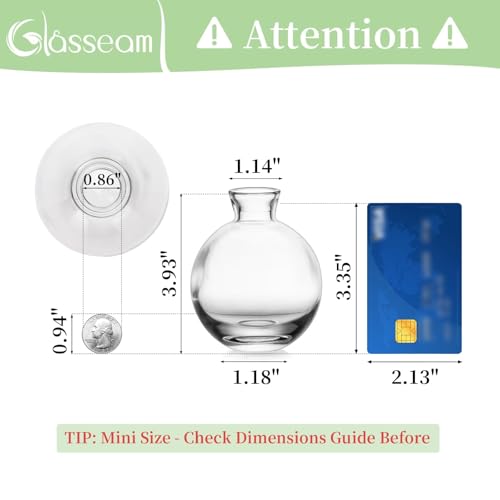 Glasseam Clear Glass Bud Vase, 3Pcs/Set Modern Decorative Small Mini Flowers Vases Short Minimalist Aesthetic Home Decor Vintage Cute Handmade Tiny Wedding Table Centerpieces for Single Flower Rose - color: Clear, size: 1 Set