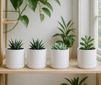 D'vine Dev Set of 4 Small Ceramic Plant Pots, 4.7 Inch Succulent Planter Pot for Plants with Drainage Hole and Saucer, White, 94-X-B-1 - color: White, size: 4.7 Inch
