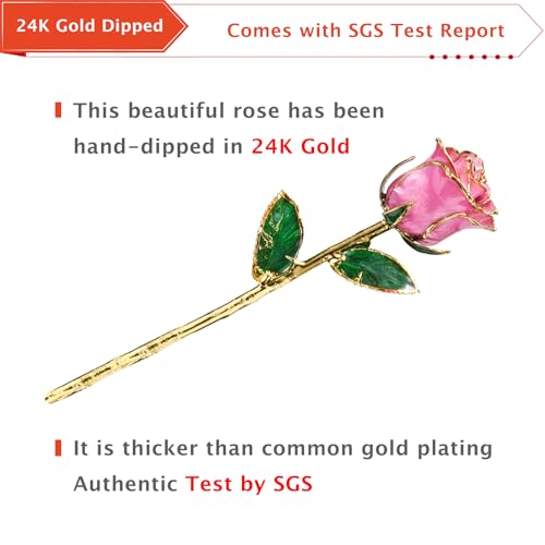 AliveRose Gold Plated Rose, 24K Gold Dipped Rose with Crystal Vase - Unique Design for Anniversary, Valentines, Mothers Day, Birthday Gifts - color: 5. Pink Original Rose With Crystal Vase
