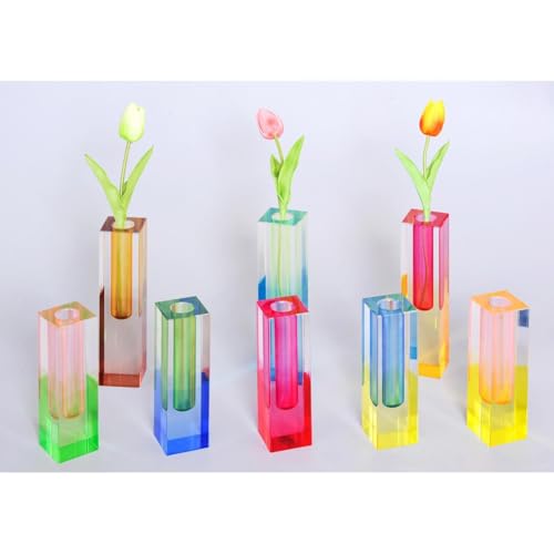 Acrylic Vase, Bud Vase for Centerpieces, Maximalist Decor Cute Flowers Vases for Modern Home, Office, Bedroom, Living Room, Dining Table (Fluorescent Green, Sky Blue) - color: Green,blue