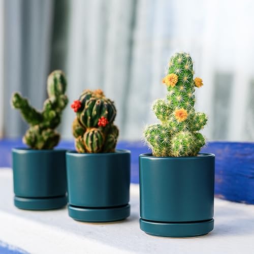 D'vine Dev Set of 2 Plants Pots, 3.5 Inch Ceramic Planter Pot for Plants with Drainage Hole and Saucer, Teal, 94-V-A-9 - color: Teal, size: 3.5 Inch