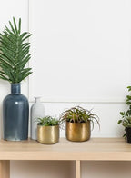 Serene Spaces Living Antique Brass Look Gold Hammered Pots: Stylish Indoor Planter, Decorative Accent for Potted Plants, Gold Flower Vase for Wedding, Extra Small, Set of 12 - size: Extra Small, Set of 12