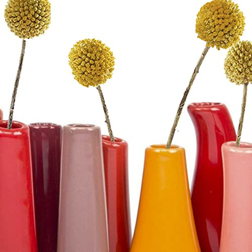 Chive - Pooley 2, Ceramic Flower Vase, 8-Tube Shape (Pumpkin) - color: Pumpkin