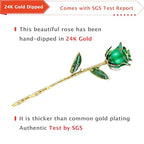 AliveRose 24k Gold Dipped Rose, Gold Rose Made from Real Rose - Unique Design 24K Dipped Rose for Anniversary Valentines Mothers Day Birthday Gifts (Green Original with Crystal Vase) - color: 3. Green Original Rose With Crystal Vase