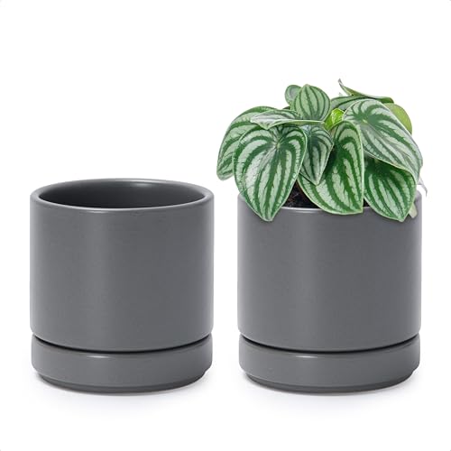 D'vine Dev Set of 2 Plants Pots, 4.7 Inch Ceramic Planter Pot for Plants with Drainage Hole and Saucer, Speckled Grey, 94-V-B-3 - color: Gray, size: 4.7 Inch