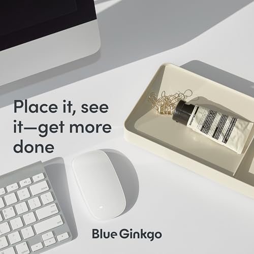 BLUE GINKGO Desk Tray – Korean-Made Organizer for Notes, Pens, Pencils, and Accessories (Double-sided, Green) - color: GREEN, size: TRAY