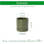 D'vine Dev Set of 4 Small Ceramic Plant Pots, 4.7 Inch Succulent Planter Pot for Plants with Drainage Hole and Saucer, Olive, 94-X-B-0 - color: Olive, size: 4.7 Inch