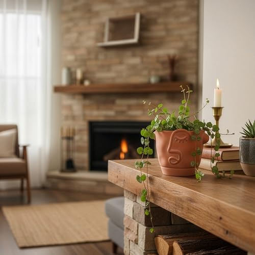 HERDUK 6 Inch Terracotta Abstract Face Planter with Drainage & Saucer – Artistic Ceramic Flower Pot for Indoor Plants, Boho Home Decor, Unique Gift for Plant & Art Lovers - size: 6 Inch