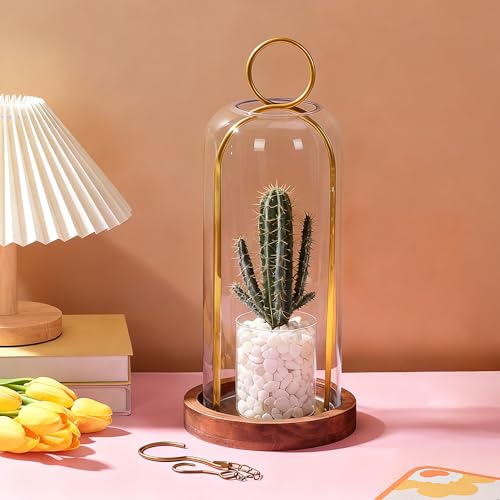 16" High Versatile Vintage Brass Metal Candle Holder with Handmade Sturdy Glass Dome and Natural Wooden Base for Pillar Candle & Plants, Industrial, Farmhouse, Shabby Chic, Display Cloche Bell Jars - color: Brass, size: 7"x16"