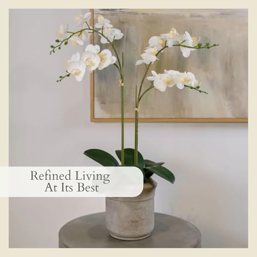 CG Hunter Faux White Orchid Plant, Premium Artificial Indoor Flower Display Stands 24”, Beautiful Sculptural Blooms That Lasts Forever, Grey Planter Pot Included - size: 24" White 2-Stem Orchid