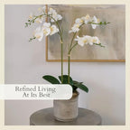 CG Hunter Faux White Orchid Plant, Premium Artificial Indoor Flower Display Stands 24”, Beautiful Sculptural Blooms That Lasts Forever, Grey Planter Pot Included - size: 24" White 2-Stem Orchid
