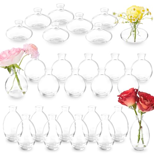 Glass Bud Vase Set of 28 Pcs for Rustic Wedding Centerpieces and Home Decor, Small Glass Vases for Flowers, Mini Bud Vase Set，Vintage Vases for Centerpieces