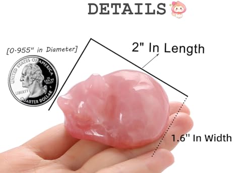 QINJIEJIE 2" Rose Quartz Cat Crystals Statue Pink Gifts Sleeping Cat Decor Figurine Polished Healing Gemstones Cute Kitten Reiki Office Desk Home Decor Lover Gifts for Women Stocking Stuffers - color: B-pink-rose Quartz, size: 2 inches
