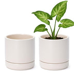 D'vine Dev Set of 2 Plants Pots, 4.7 Inch Ceramic Planter Pot for Plants with Drainage Hole and Saucer, Oatmeal, 94-V-B-8 - color: Oatmeal, size: 4.7 Inch