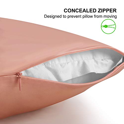 ALASKA BEAR Natural Silk Pillowcase, Hypoallergenic, 19 Momme, 600 Thread Count 100 Percent Mulberry Silk, Queen Size with Hidden Zipper (1, Dusty Pink) - color: Dusty Pink, size: Queen 20''x30''
