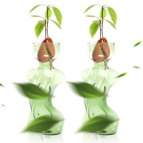 Propagation Vases for Plants Plant Propagation Jars Unique Body Avocado Vase Glass Planter Perfect for Seed Starting Water Rooting and Home Decor Gift for Father - color: Green