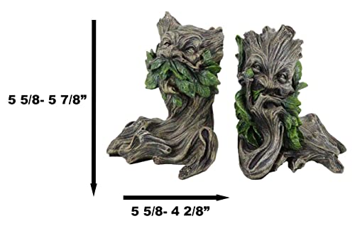 Ebros Gift Mythical Forest Tree Spirit Ent Celtic Greenman Decorative Bookends Figurine Pair Set 6" Tall Wicca Horned God Sculptural Bookend Library Bookshelf Accent