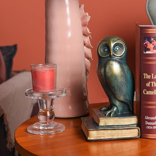 Book Ends for Shelves, Owl Decorative Bookends Bronze Bird Book Stopper Unique Kids Book Holders with Anti-Slip Base Luxurious Bookends for Kids Rooms Office Home Decor(Bronze) - color: Owl-bronze