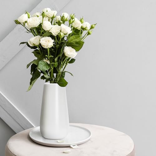 D'vine Dev 8 Inch White Elegant Oval Ceramic Vase for Flowers, Home Décor Vase with Design Box, VS-LD-A-4 - color: White, size: 8 Inch