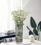 Modern Minimalist Glass Square vase, Crystal Glass vase, vase, Dry vase (Grey) - color: Gray