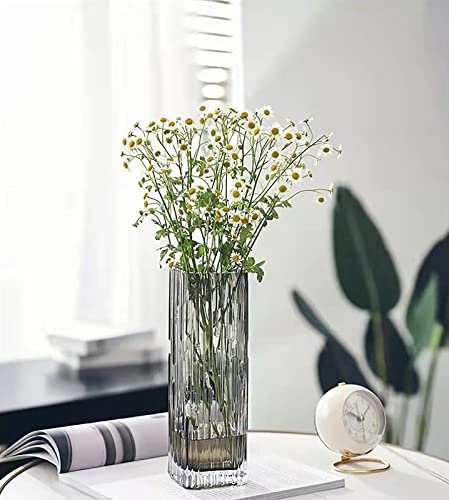 Modern Minimalist Glass Square vase, Crystal Glass vase, vase, Dry vase (Grey) - color: Gray